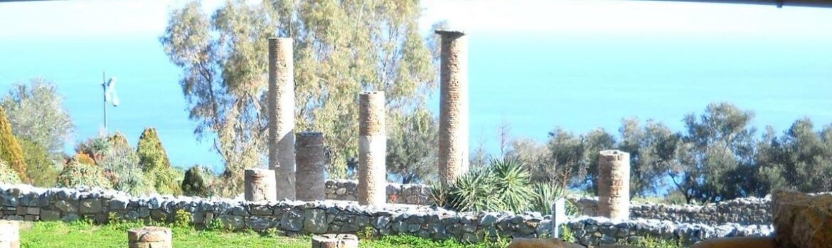 Guide Turistiche Messina